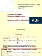 3.digestione Monogastrici Ruminanti2014