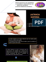 Lactancia Materna- Exposicion