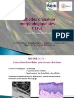 Cours Histologie Et Immunohistochimie