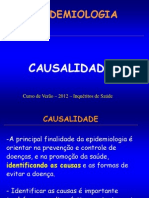 Www.fsp.Usp.br Isa-sp PDF Causalidade