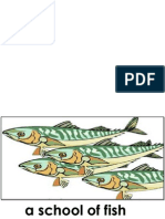 A School of Fish