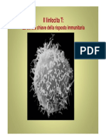 11  linfocitiT