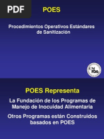 Qué Son Los POES y para Qué Son Necesarios | PDF | Seguridad ...