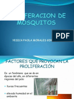 Factores que provocan la proliferación de mosquitos