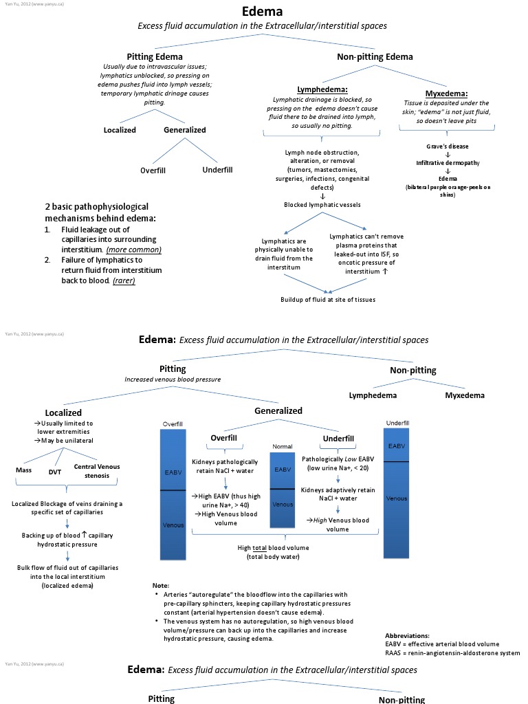 Pathophysiology of Edema Explained | PDF