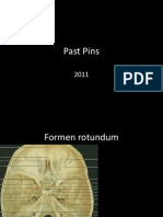 Past Pins 