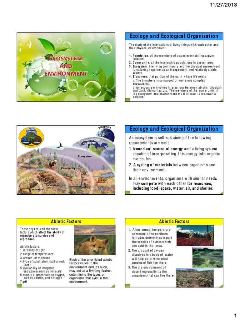 Understanding Ecosystems and Ecology | PDF | Ecosystem | Human Impact ...