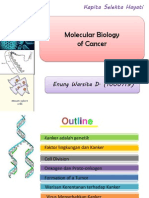 Molecular Biology of Cancer