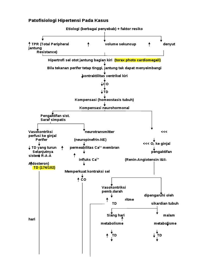 Patofisiologi Hipertensi Pada Kasus PDF
