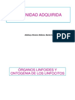 5. ORGANOS LINFOIDES estudiantes.pdf