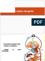 Lectie 7 Circulatia Sangelui Si Aparatul Circulator. Excretia Si Aparatul Excretor.