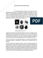 INFECCIONES VIRALES DEL SISTEMA DIGESTIVO.pdf
