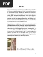 Download 17 Heinz 2007 Warna Daging by Evi Valharrez Di Ossannai SN223338971 doc pdf