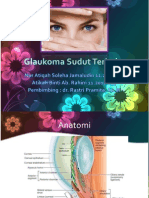 slide glaukoma.pptx