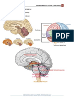 Ayu Sken2 Neuro Kelumpuhan Wajah (Stroke) Ayu