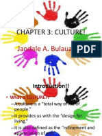 Chapter 3: Culture!: Jandale A. Bulauan