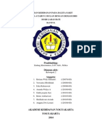 Asuhan Kebidanan Balita Sakit DG Demam DBD