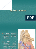 16 - EKG-ul Normal Powerpoint