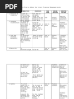 Areas of Concern/Target Objectives Strategies Time Frame Person Involved Expected Outcome