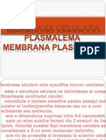 Plasmalema - Membrana Plasmatica