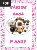 Nome Cientifico Caes Raca