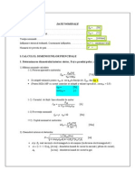 1Proiect MCSA MS RV Text