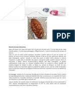 Pain 8 Tresses PDF