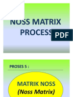 Noss Matrix Process (Bahan 9)