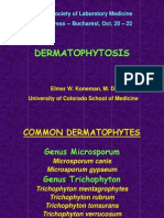 4 Dermatophytes