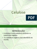 Slide Celulose