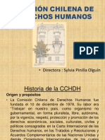 Comision Chilena DDHH Clinica Sta Lucia