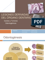 Lesiones Derivadas Del Organo Dental