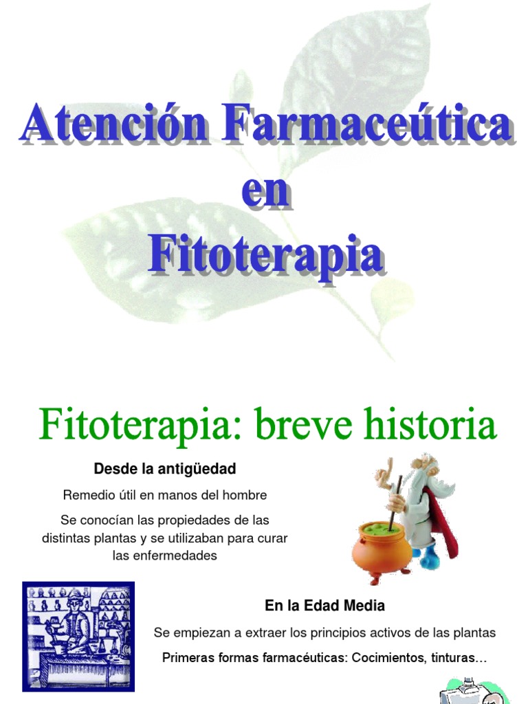 Uso De Plantas Medicinales