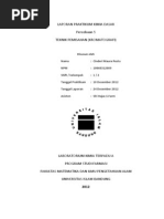 Download Percobaan 5 Teknik Pemisahan Kromatografi by Cinderi Maura Restu SN223447834 doc pdf