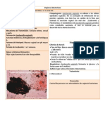 Vaginosis Bacteriana: Infección polimicrobiana de anaerobios