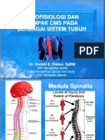 Patofisiologi Dan Dampak Cedera Medula Spinalis (Spinal Cord Injury) Pada Berbagai Sistem Organ