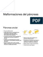 Malformaciones Del Páncreas