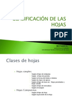 Clasificacion de Las Hojas