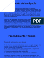 Tinciones Diferenciales Aspectos Tecnicos 1192717620718197 5 (1)