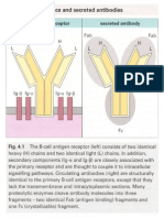 Fig. 4.1