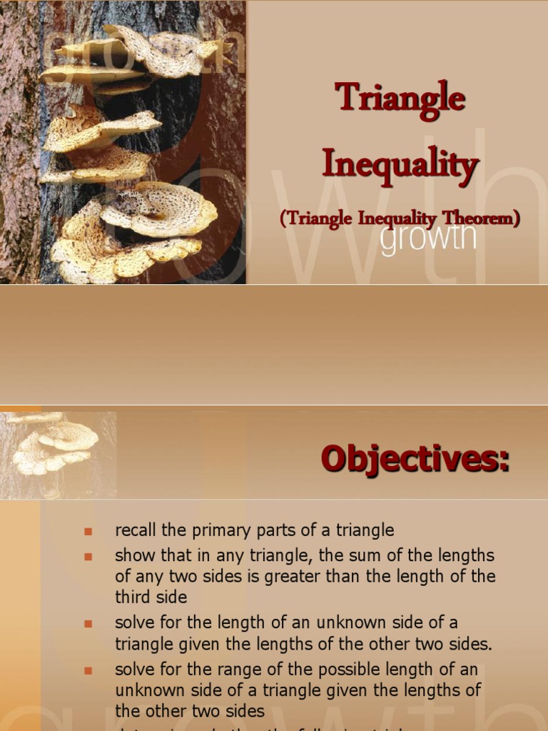 Triangle Inequality Theorems Explained | PDF | Triangle | Elementary ...