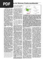 Endocanabinoides.pdf