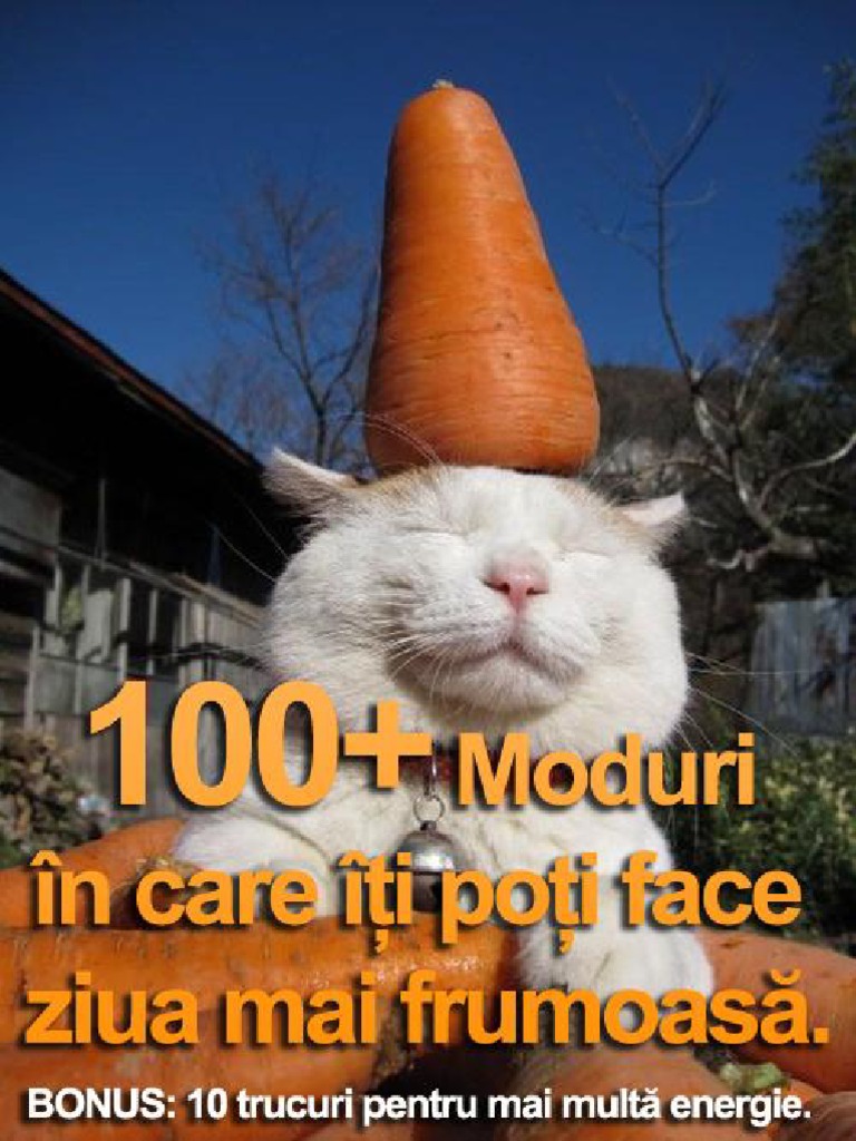 100+ Moduri in Care Iti Poti Face Ziua Mai Frumoasa | PDF
