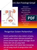 Anatomi Dan Fisiologi Ginjal