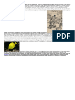 ArticleChirurgien PDF