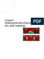 Tema 5 Dimension Biologica Del Ser Humano