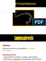 Leptospirosis2009