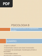 Psicologia Social