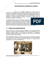 Libro de Seguridad Industrial - Ing Maria Del Carmen