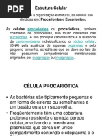 Aula 3 Célula Procarionte e Eucarionte
